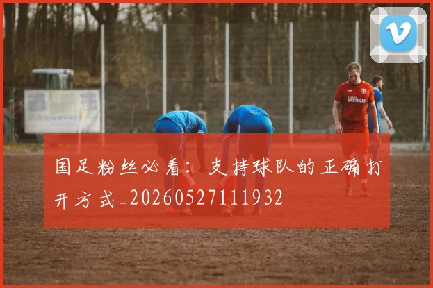 国足粉丝必看：支持球队的正确打开方式_20260527111932